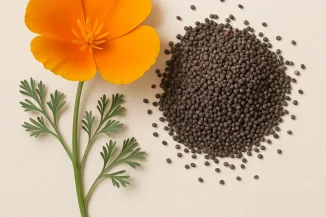 California-Poppy-Seed
